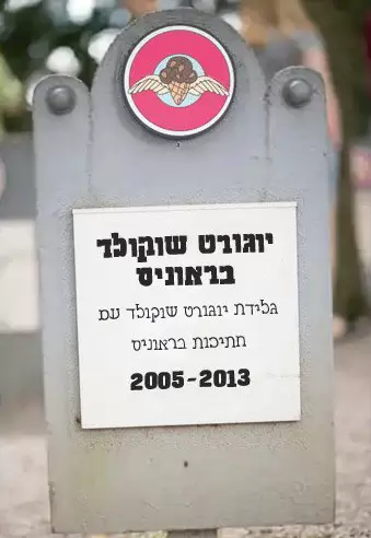 מצבה של יוגורט שוקולד בראוניס