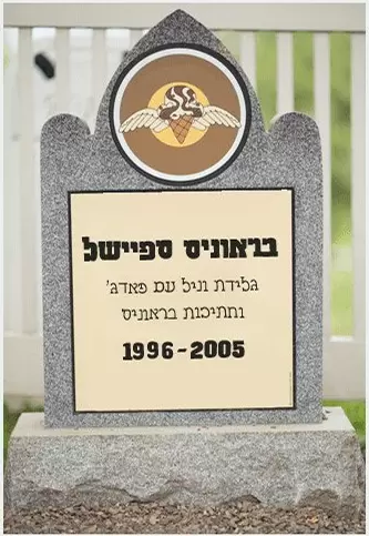 מצבה של בראוניס ספיישל