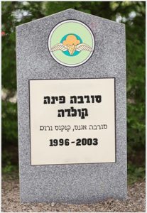 סורבה פינה קולדה