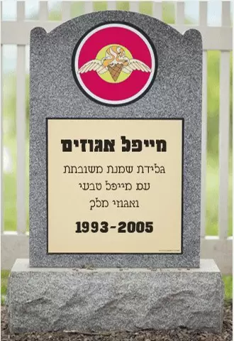 מצבה של מייפל אגוזים