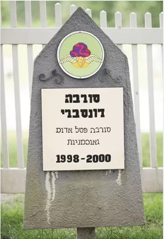 מצבה של דונסברי