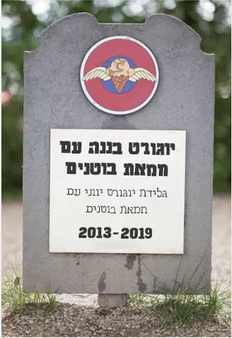 יוגורט בננה עם חמאת בוטנים