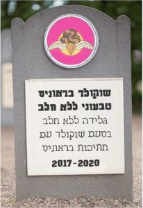 שוקולד בראוניס טבעוני ללא חלב