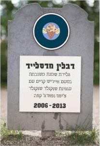 דבלין מדסלייד