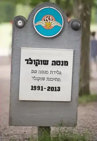 מצבה של מנטה שוקולד