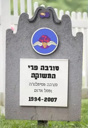 מצבה של סורבה פרי התשוקה