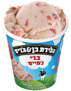 ברי נ'אייס™