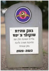 בצק עוגיות שוקולד צ'יפס