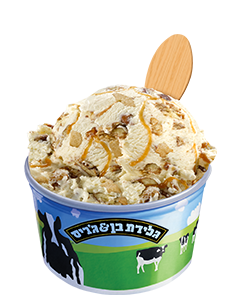 וניל פקאן בלונדי