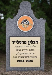 דבלין מדסלייד