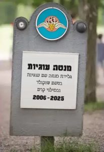 מנטה עוגיות