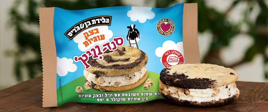 חטיפי גלידה
